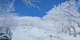 樂享北海道小樽函館富良野賞花5晚